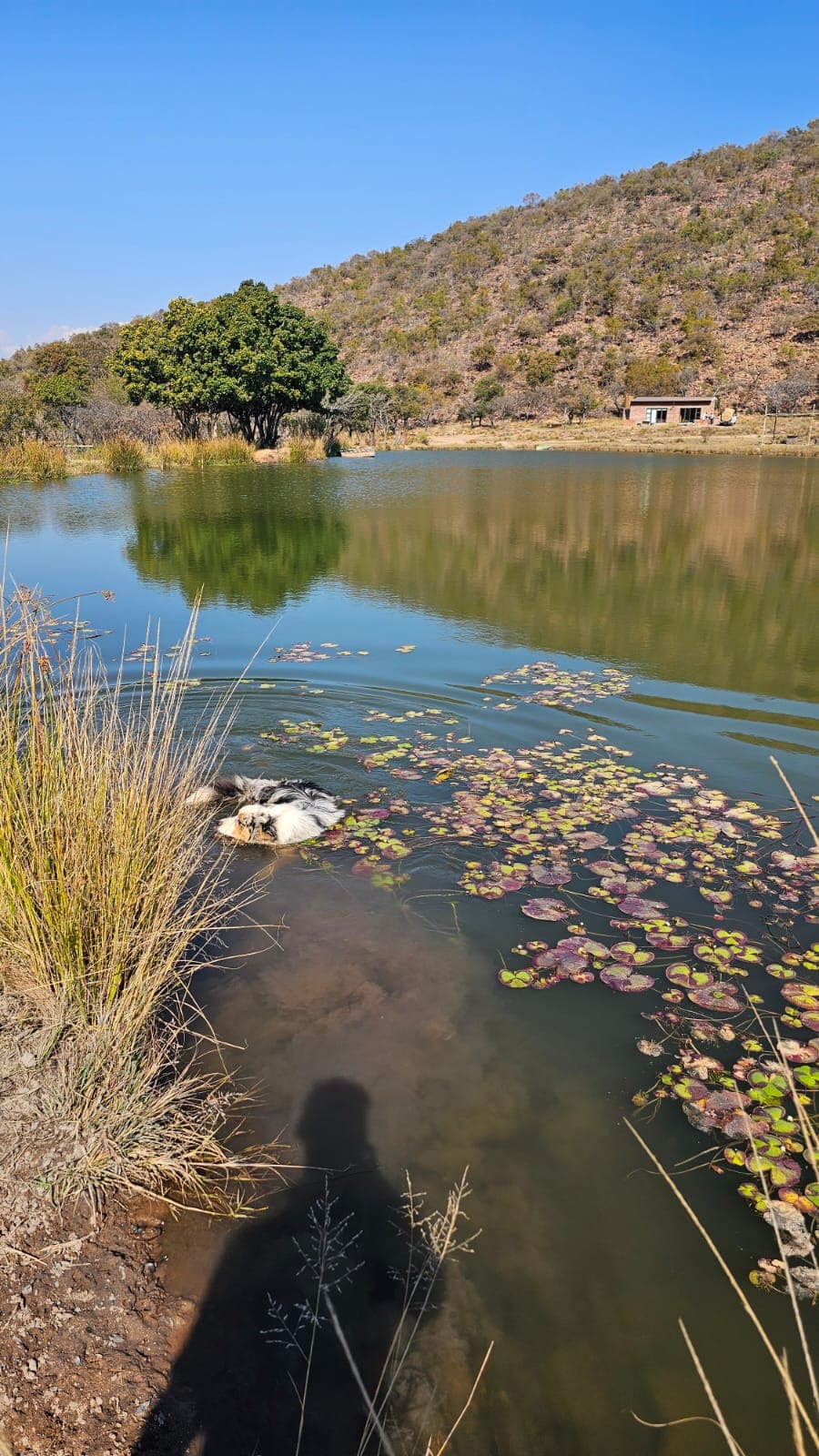 Living water